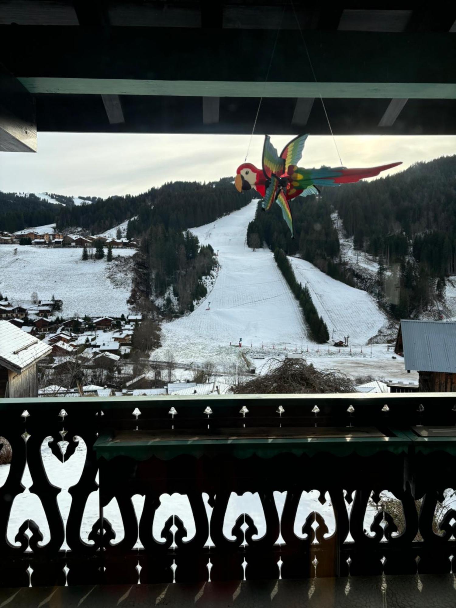 לה ג'ט Chalet Fleur Des Alpes מראה חיצוני תמונה